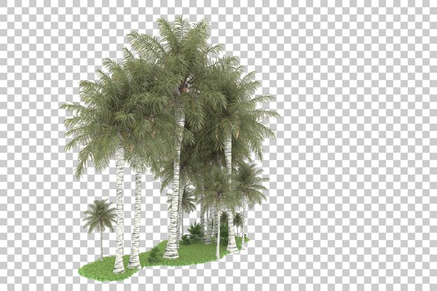 Bosque tropical aislado sobre fondo transparente Ilustración de renderizado 3d