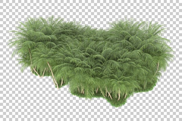 Bosque tropical aislado sobre fondo transparente Ilustración de renderizado 3d