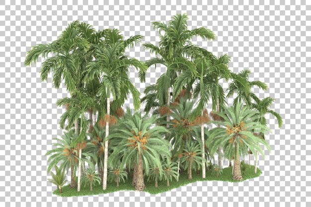 Bosque tropical aislado sobre fondo transparente Ilustración de renderizado 3d