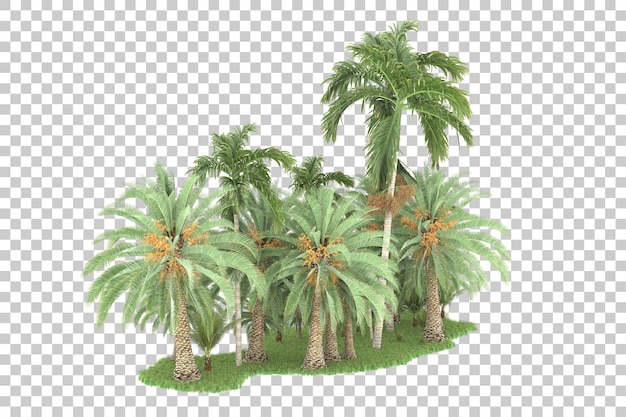 PSD bosque tropical aislado sobre fondo transparente ilustración de renderizado 3d