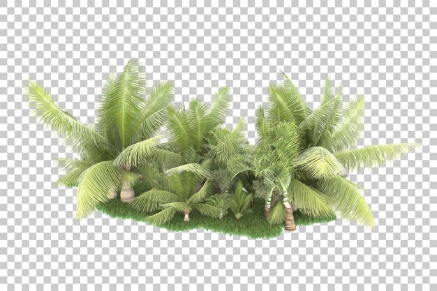 PSD bosque tropical aislado sobre fondo transparente ilustración de renderizado 3d