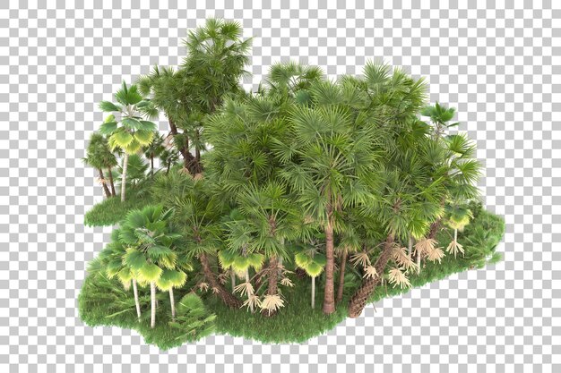 PSD bosque tropical aislado sobre fondo transparente ilustración de renderizado 3d