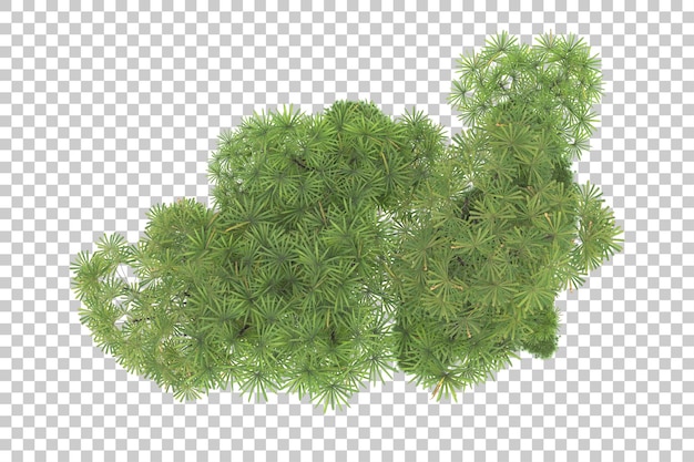Bosque tropical aislado sobre fondo transparente Ilustración de renderizado 3d