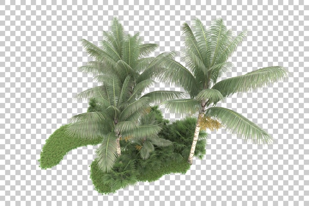 Bosque tropical aislado sobre fondo transparente Ilustración de renderizado 3d