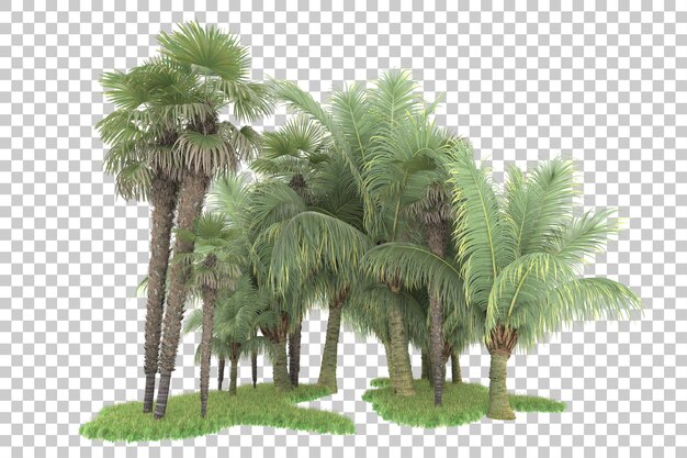 Bosque tropical aislado sobre fondo transparente Ilustración de renderizado 3d