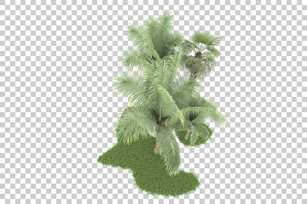 Bosque tropical aislado sobre fondo transparente Ilustración de renderizado 3d