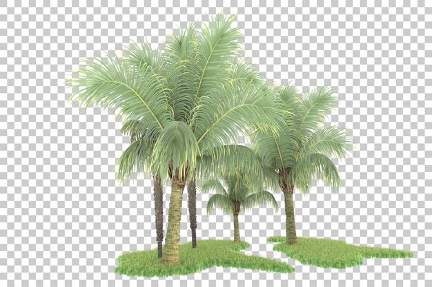 Bosque tropical aislado sobre fondo transparente Ilustración de renderizado 3d