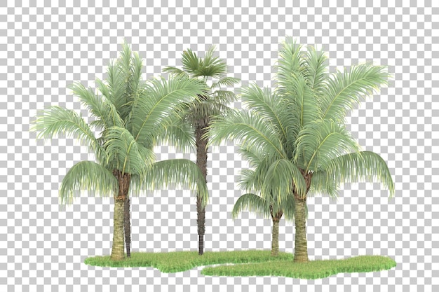 Bosque tropical aislado sobre fondo transparente Ilustración de renderizado 3d