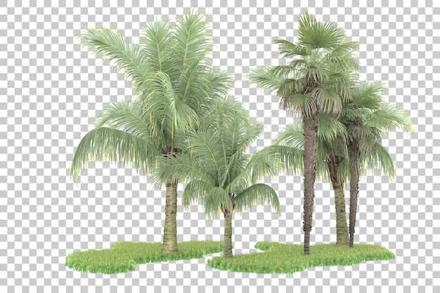 Bosque tropical aislado sobre fondo transparente Ilustración de renderizado 3d
