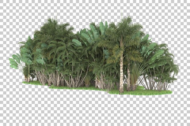 Bosque tropical aislado sobre fondo transparente Ilustración de renderizado 3d