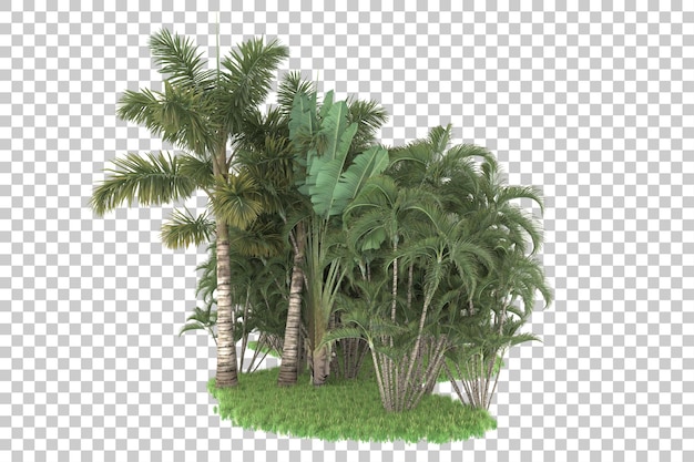 Bosque tropical aislado sobre fondo transparente Ilustración de renderizado 3d