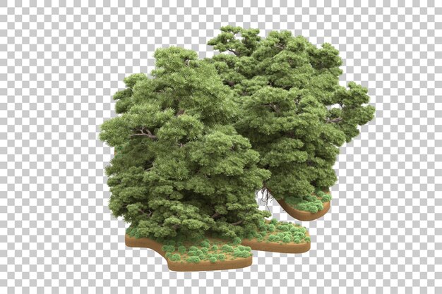 Bosque tropical aislado sobre fondo transparente Ilustración de renderizado 3d