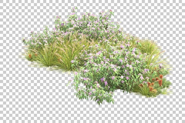Bosque tropical aislado sobre fondo transparente Ilustración de renderizado 3d