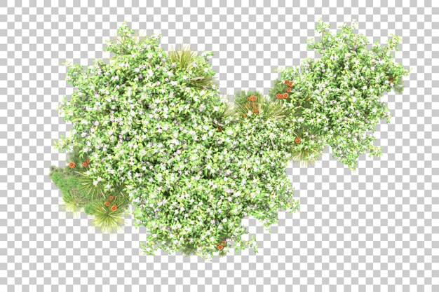 Bosque tropical aislado sobre fondo transparente Ilustración de renderizado 3d