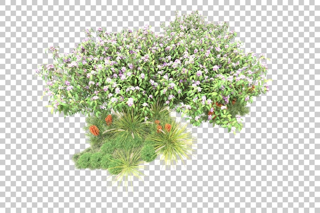 Bosque tropical aislado sobre fondo transparente Ilustración de renderizado 3d