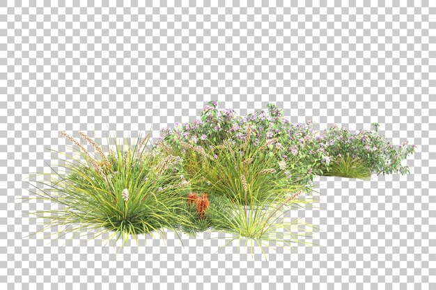 Bosque tropical aislado sobre fondo transparente ilustración de renderizado 3d