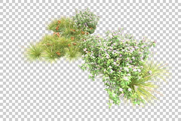 Bosque tropical aislado sobre fondo transparente Ilustración de renderizado 3d