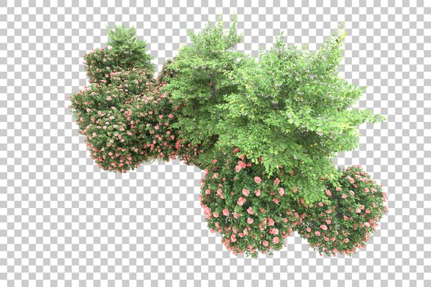 Bosque tropical aislado sobre fondo transparente Ilustración de renderizado 3d