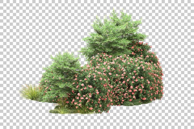 Bosque tropical aislado sobre fondo transparente Ilustración de renderizado 3d