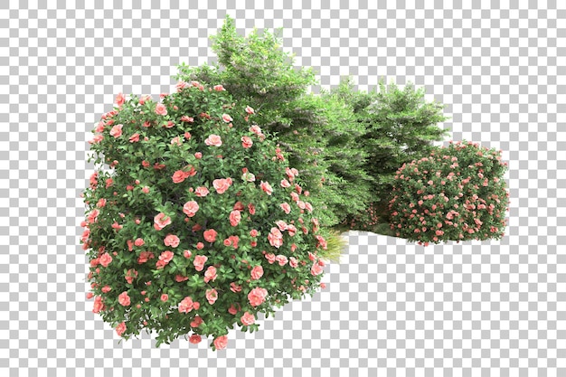 Bosque tropical aislado sobre fondo transparente Ilustración de renderizado 3d