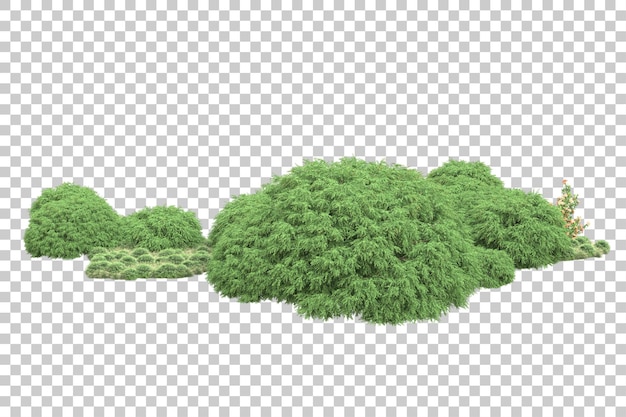Bosque tropical aislado sobre fondo transparente Ilustración de renderizado 3d
