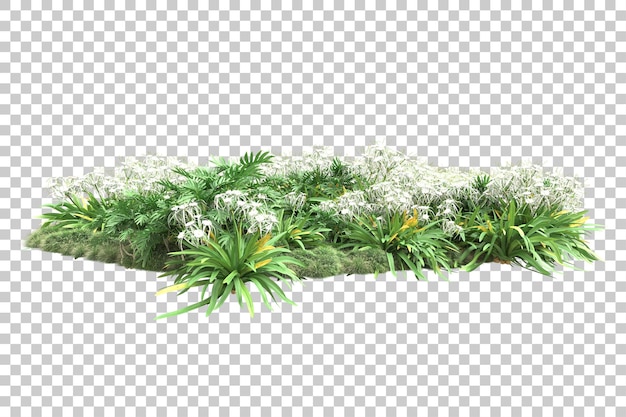 Bosque tropical aislado sobre fondo transparente Ilustración de renderizado 3d