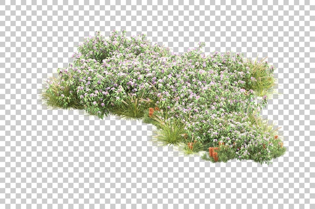 Bosque tropical aislado sobre fondo transparente Ilustración de renderizado 3d