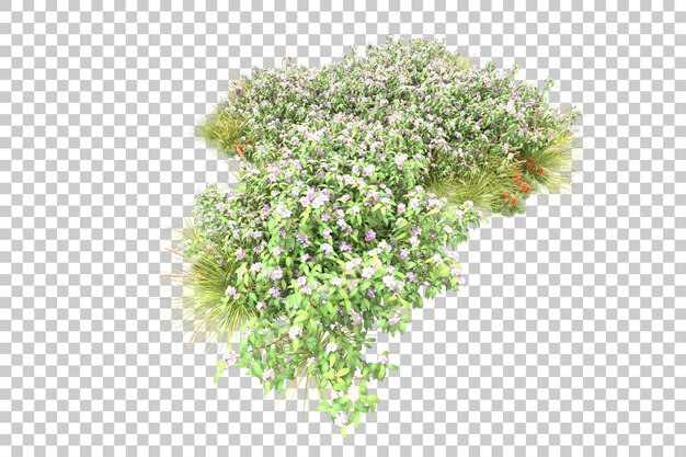 Bosque tropical aislado sobre fondo transparente Ilustración de renderizado 3d