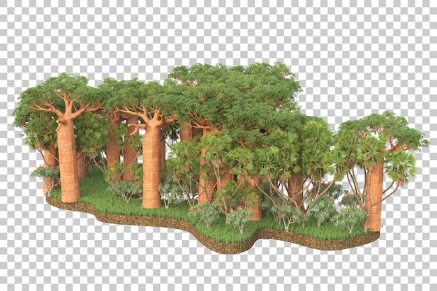 Bosque tropical aislado sobre fondo transparente Ilustración de renderizado 3d