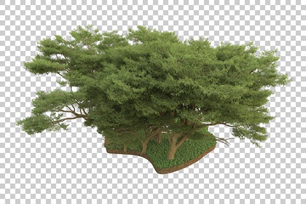 Bosque tropical aislado sobre fondo transparente Ilustración de renderizado 3d