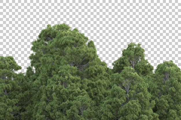 Bosque tropical aislado sobre fondo transparente Ilustración de renderizado 3d