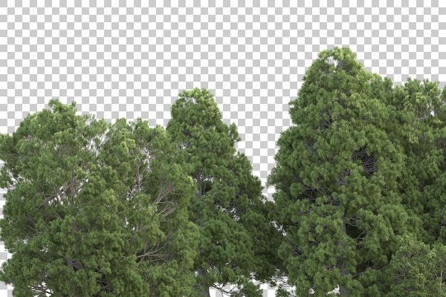 Bosque tropical aislado sobre fondo transparente Ilustración de renderizado 3d