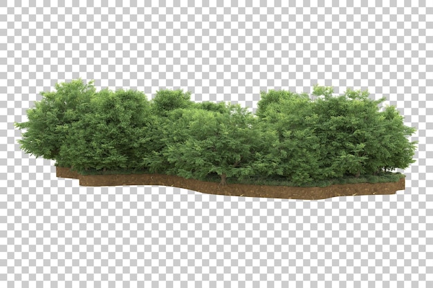Bosque tropical aislado sobre fondo transparente Ilustración de renderizado 3d
