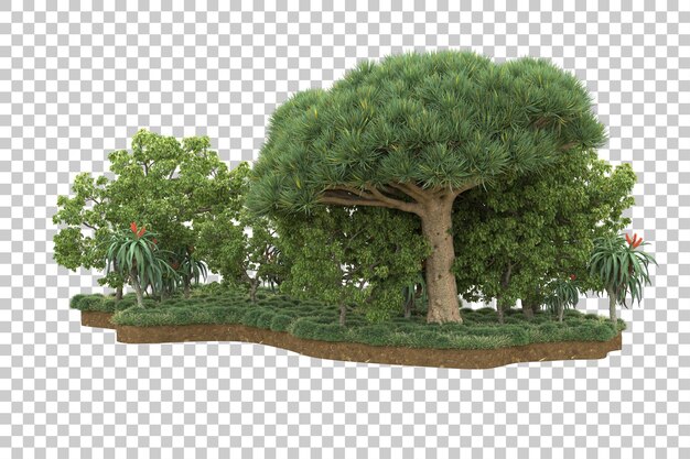 PSD bosque tropical aislado sobre fondo transparente ilustración de renderizado 3d