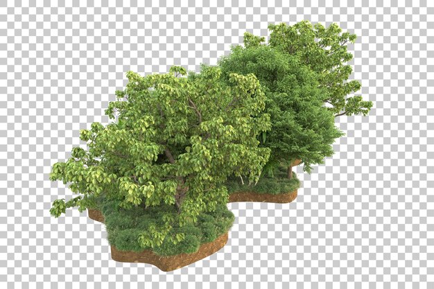 Bosque tropical aislado sobre fondo transparente Ilustración de renderizado 3d