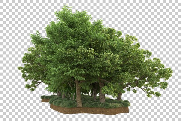 Bosque tropical aislado sobre fondo transparente Ilustración de renderizado 3d