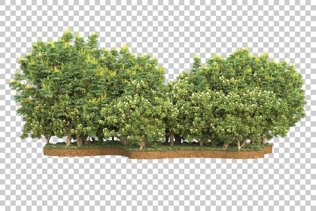 Bosque tropical aislado sobre fondo transparente Ilustración de renderizado 3d