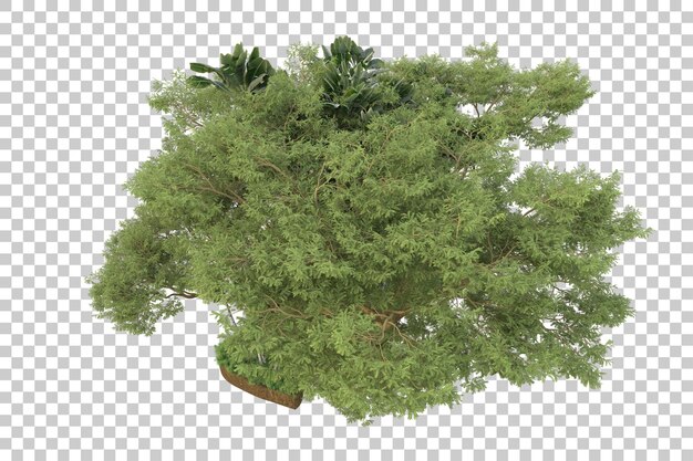 Bosque tropical aislado sobre fondo transparente Ilustración de renderizado 3d
