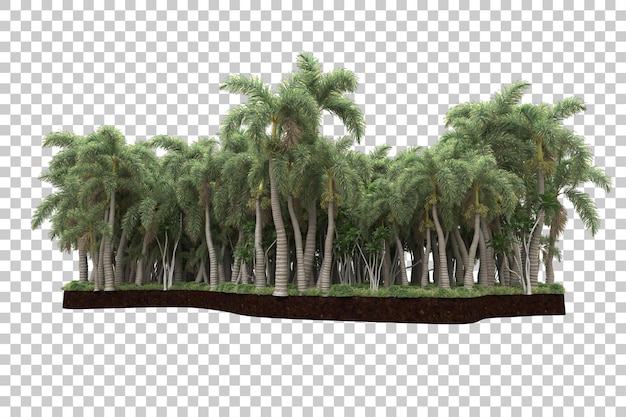 Bosque tropical aislado sobre fondo transparente Ilustración de renderizado 3d