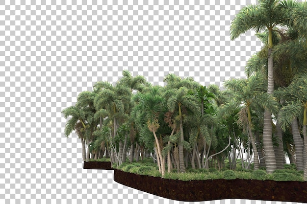 Bosque tropical aislado sobre fondo transparente Ilustración de renderizado 3d