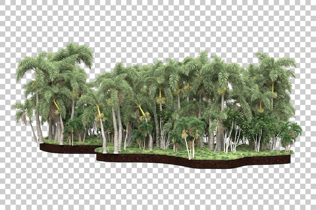 Bosque tropical aislado sobre fondo transparente Ilustración de renderizado 3d