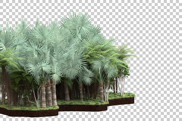 Bosque tropical aislado sobre fondo transparente Ilustración de renderizado 3d