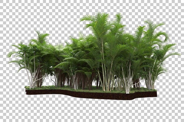 Bosque tropical aislado sobre fondo transparente Ilustración de renderizado 3d