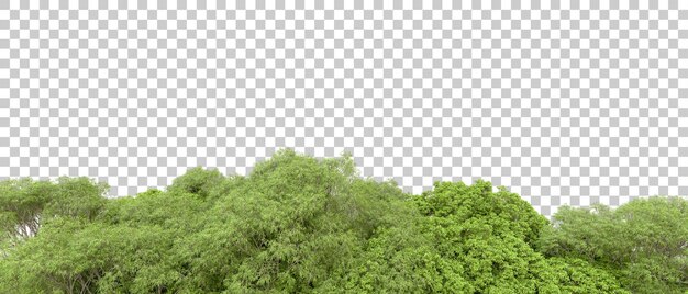 Bosque verde aislado en fondo blanco Ilustración de renderización 3D
