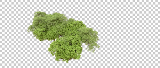 Bosque verde aislado en fondo blanco Ilustración de renderización 3D