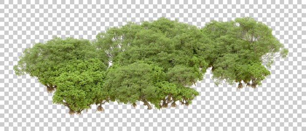 Bosque verde aislado en fondo blanco Ilustración de renderización 3D