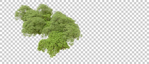 Bosque verde aislado en fondo blanco Ilustración de renderización 3D