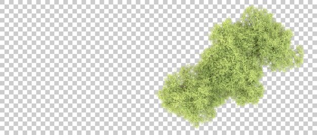 Bosque verde aislado en el fondo Ilustración de renderización 3D