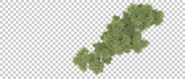 Bosque verde aislado en el fondo Ilustración de renderización 3D