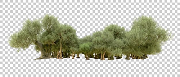 Bosque verde aislado en el fondo ilustración de renderización 3d